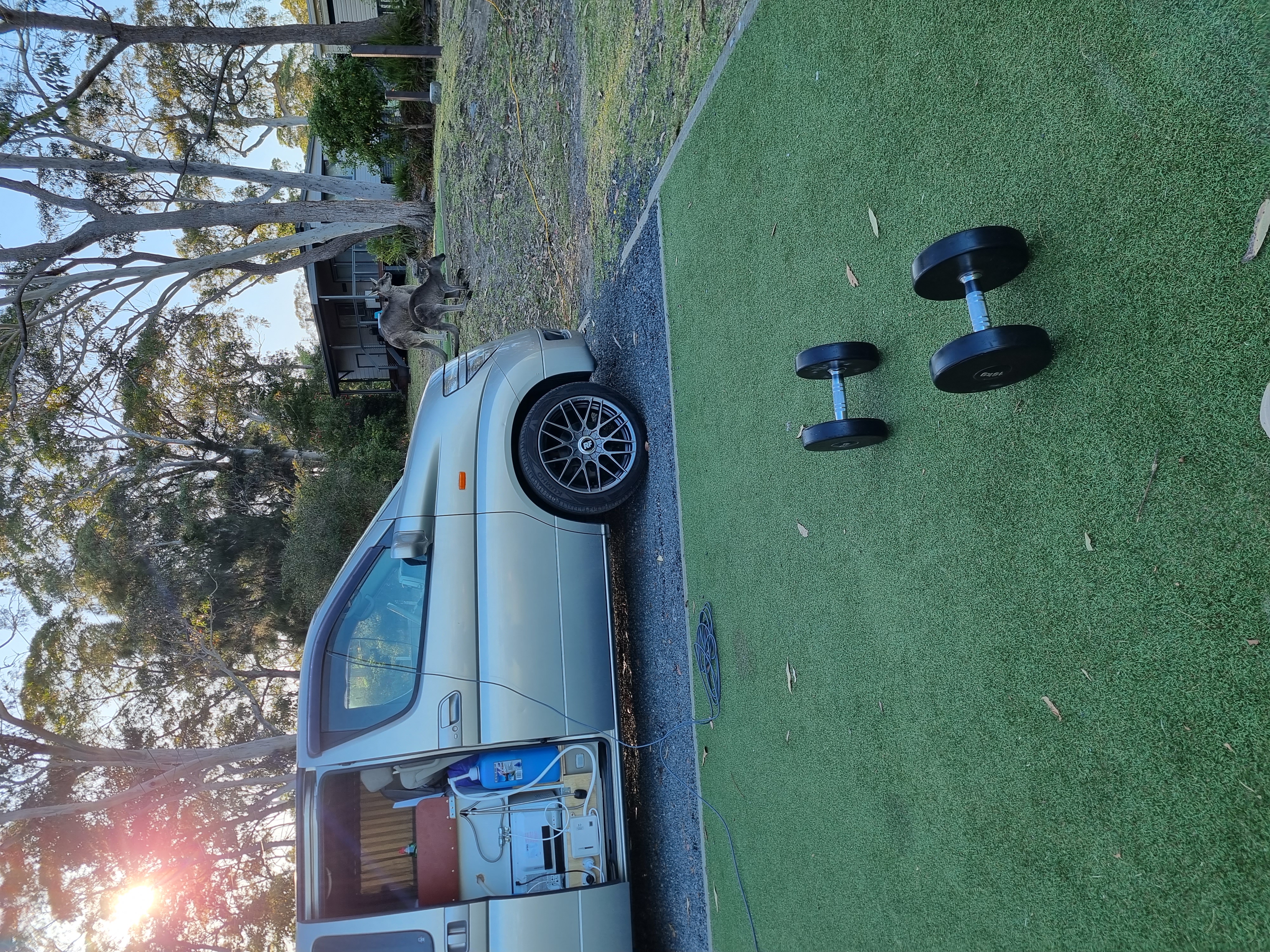 Dumbbells, van and roos