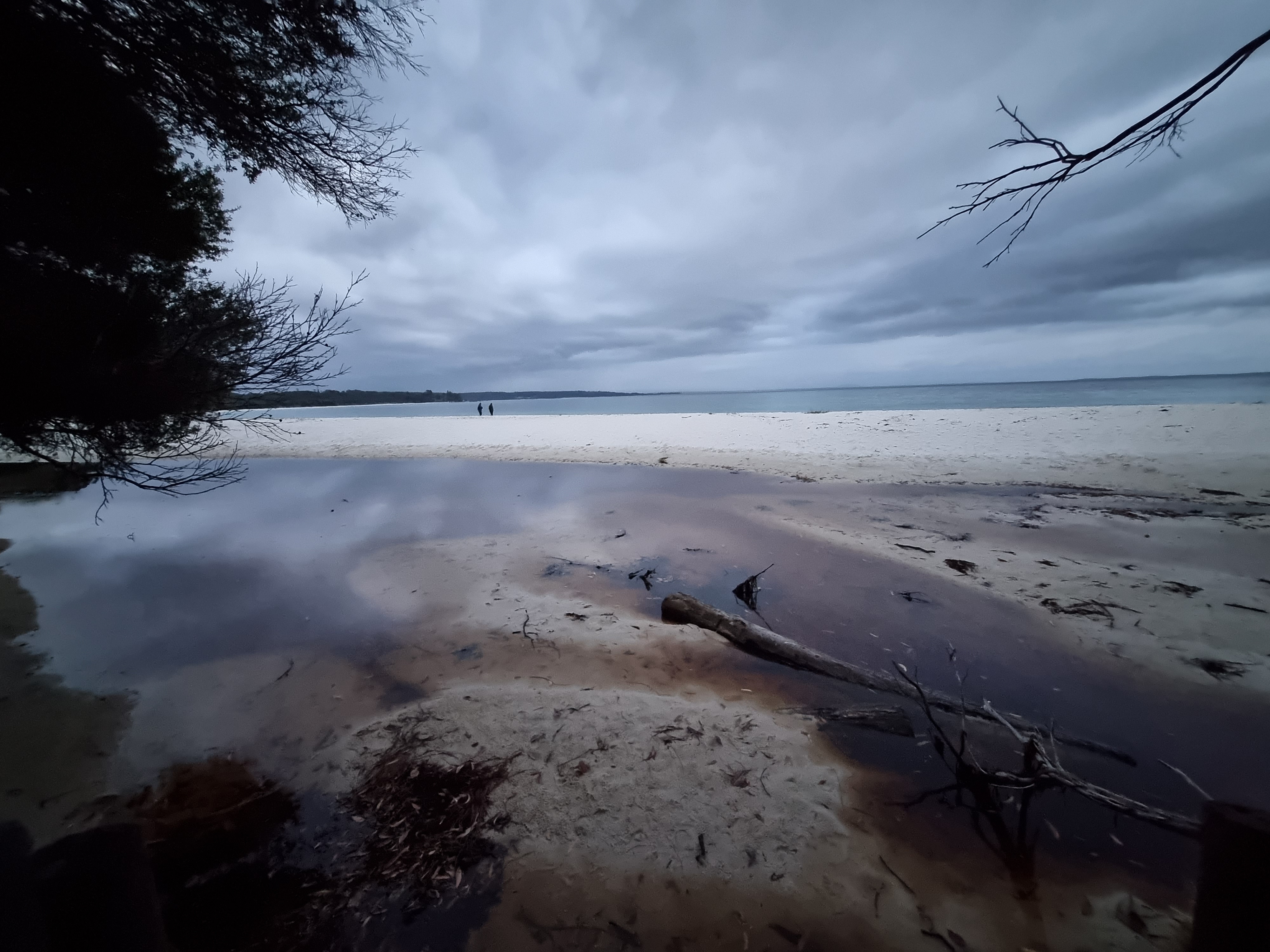 Eerie arvo at the Green Patch